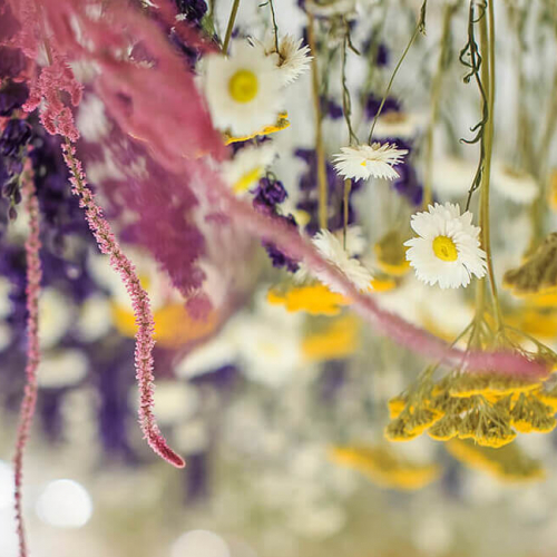 ©Art Basel, Basel Courtesy of NetJets.jpg