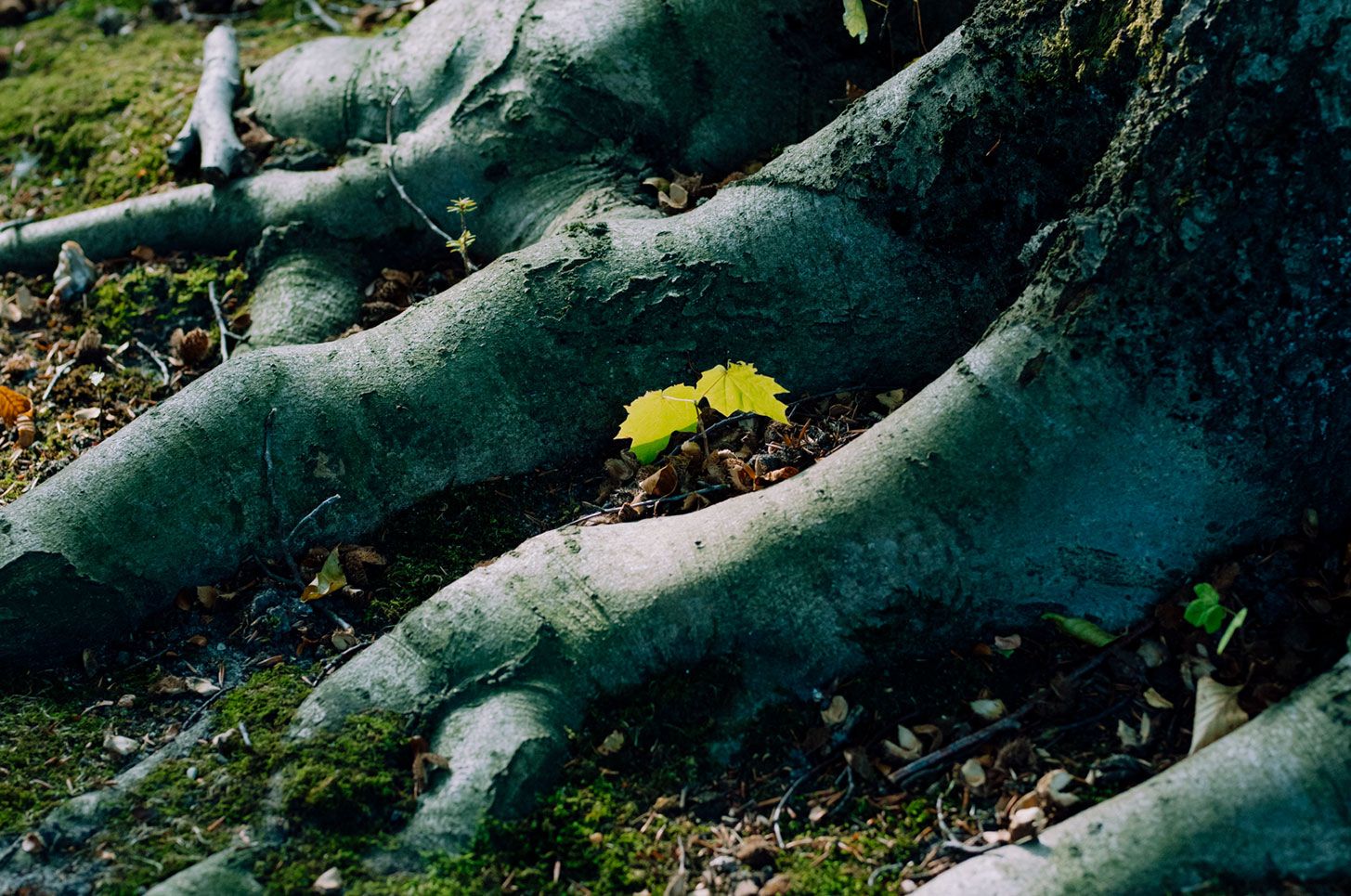 © Laura Müller / ZEIT STIFTUNG BUCERIUS