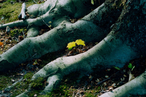 © Laura Müller / ZEIT STIFTUNG BUCERIUS